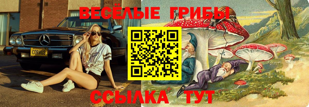 Псилоцибиновые грибы мухоморы  Вход с VPN  Псилоцибиновые грибы ЛСД  Новоалтайск 